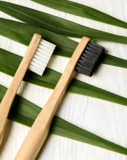 preventive dentistry